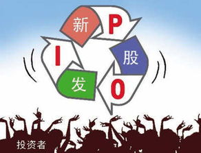 深信服（300454）申購中簽率及中簽號碼解析